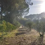 Lantställe Quinta Da Pedra Mija