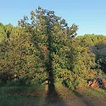 Quinta Da Pedra Mija