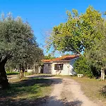 Quinta Da Pedra Mija * Santar