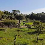 Quinta Da Pedra Mija *