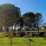 Lantställe Quinta Da Pedra Mija