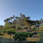 Quinta Da Pedra Mija * Santar