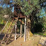 Quinta Da Pedra Mija *