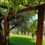 Lantställe Quinta Da Pedra Mija
