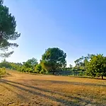 Quinta Da Pedra Mija Lantställe