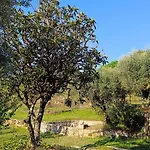 Lantställe Quinta Da Pedra Mija