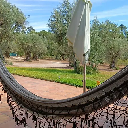 Quinta Da Pedra Mija *