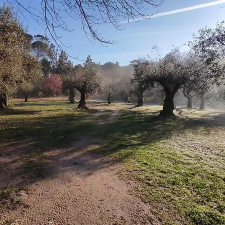 Quinta Da Pedra Mija Casa de Campo Santar
