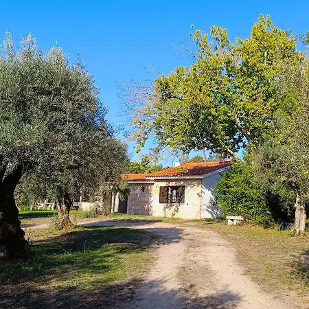 Quinta Da Pedra Mija * Santar