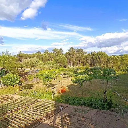 Quinta Da Pedra Mija Landsted