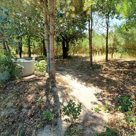 Quinta Da Pedra Mija Santar