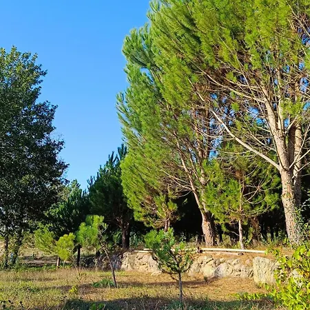 Quinta Da Pedra Mija