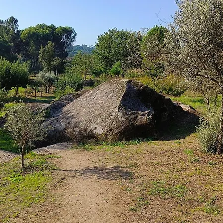 Quinta Da Pedra Mija