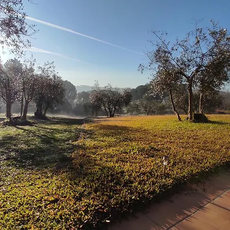 Casa de Campo Quinta Da Pedra Mija Santar