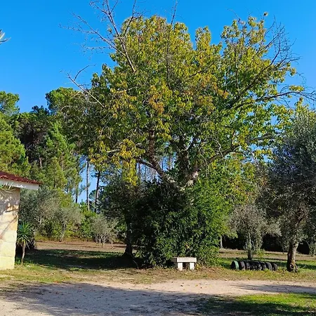 Quinta Da Pedra Mija Santar