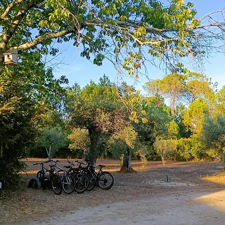 Quinta Da Pedra Mija Casa de Campo Santar