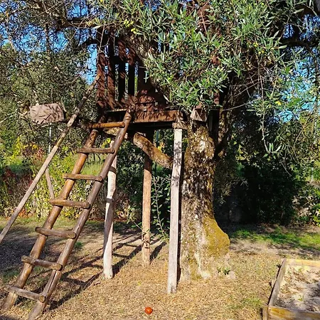 Quinta Da Pedra Mija *