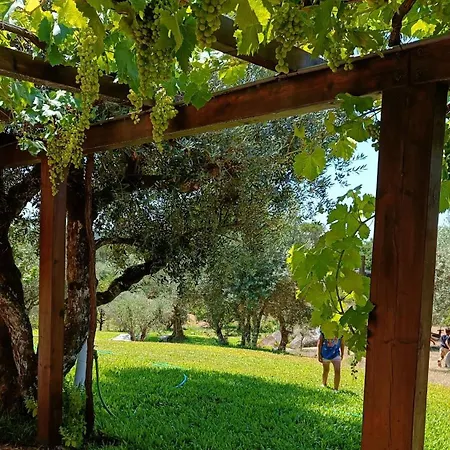 Casa de Campo Quinta Da Pedra Mija