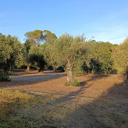 Quinta Da Pedra Mija *