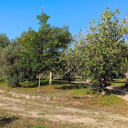 Casa de Campo Quinta Da Pedra Mija Santar