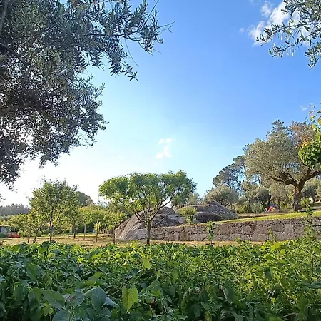 Quinta Da Pedra Mija Casa de Campo Santar