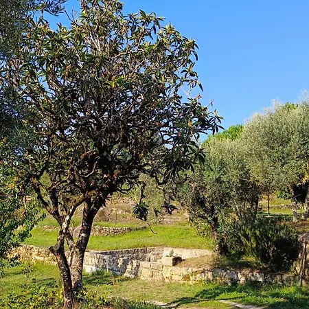 Casa de Campo Quinta Da Pedra Mija