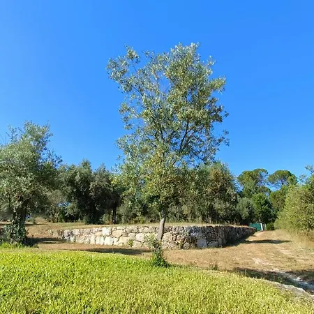 Quinta Da Pedra Mija Casa de Campo