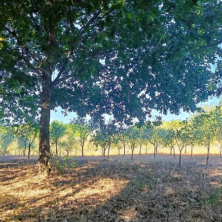 Casa de Campo Quinta Da Pedra Mija *