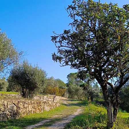 Quinta Da Pedra Mija Kır Evi *