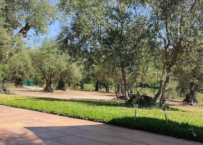 Quinta Da Pedra Mija