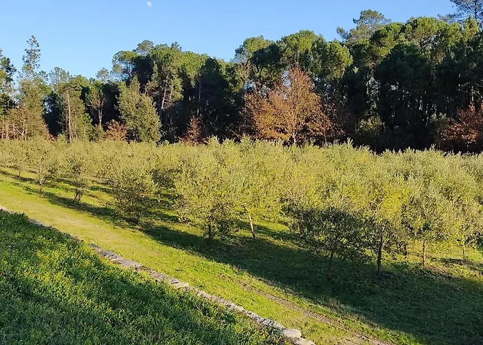 Quinta Da Pedra Mija Landsted *