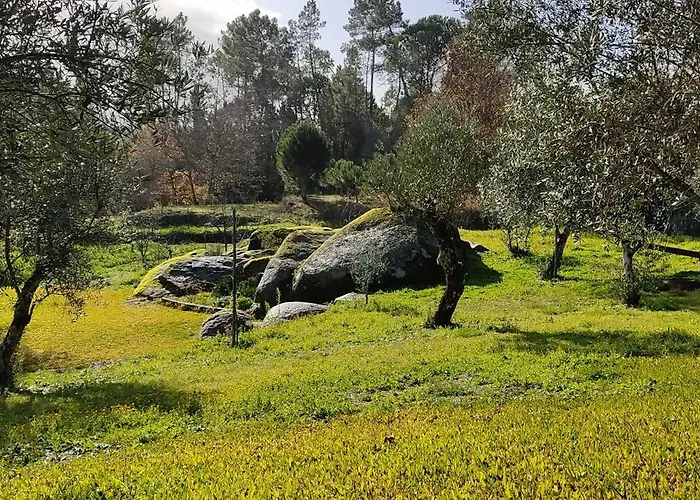 Quinta Da Pedra Mija *