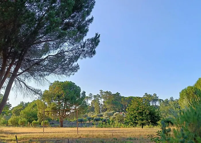 Quinta Da Pedra Mija * Santar