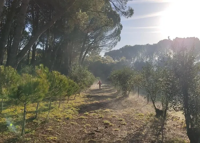 Landsted Quinta Da Pedra Mija