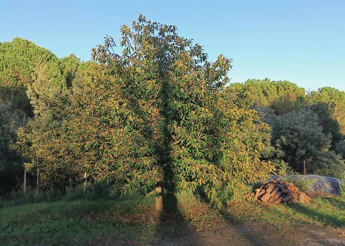 Quinta Da Pedra Mija