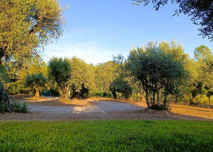 Quinta Da Pedra Mija Santar