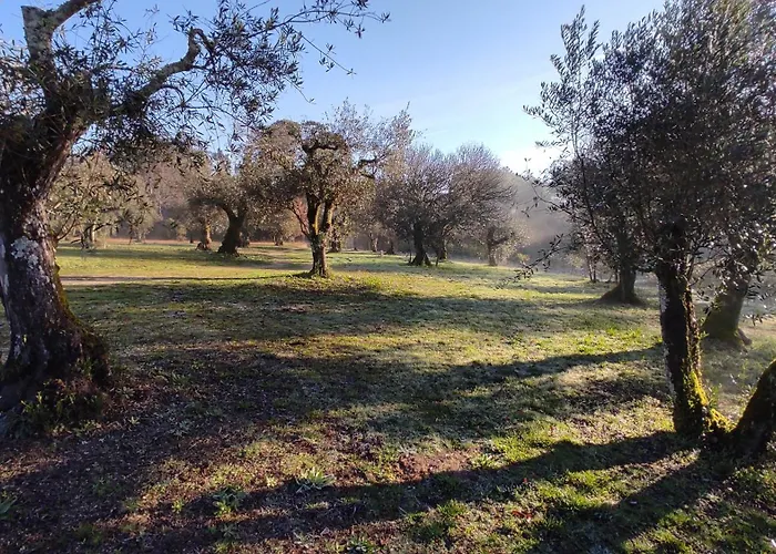 Летний дом Quinta Da Pedra Mija *