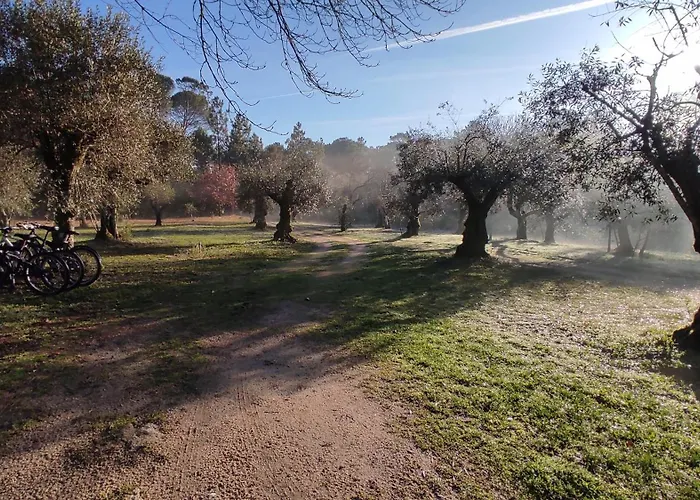 Quinta Da Pedra Mija Landsted Santar