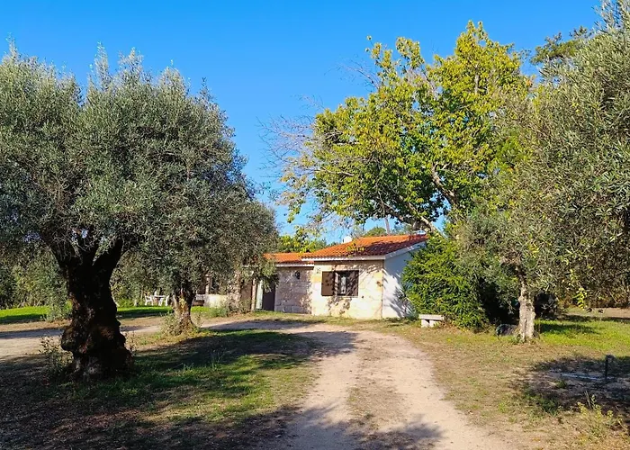 Quinta Da Pedra Mija * Santar