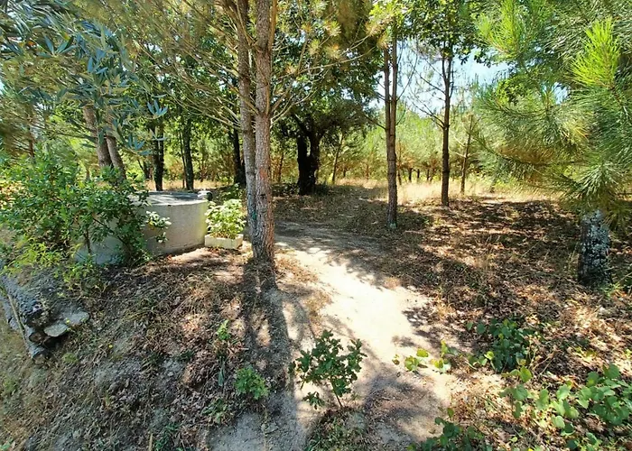 Quinta Da Pedra Mija Santar