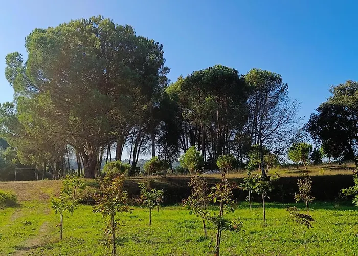 Landsted Quinta Da Pedra Mija