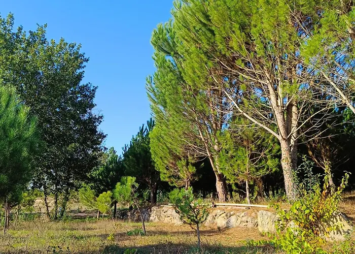 Quinta Da Pedra Mija