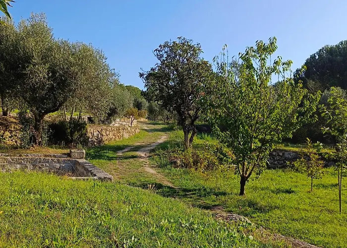 Летний дом Quinta Da Pedra Mija Сантар