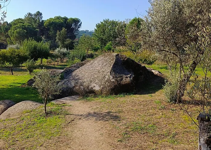 Quinta Da Pedra Mija