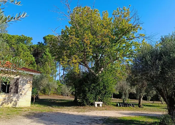 Quinta Da Pedra Mija Сантар