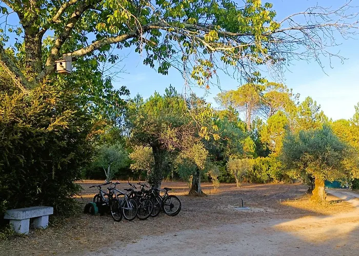Quinta Da Pedra Mija Летний дом Сантар