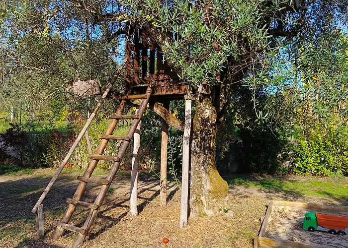 Quinta Da Pedra Mija *