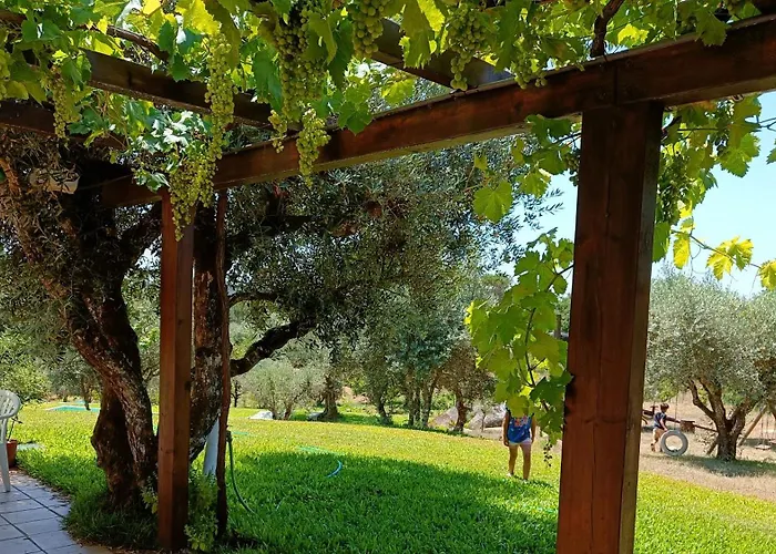 Летний дом Quinta Da Pedra Mija