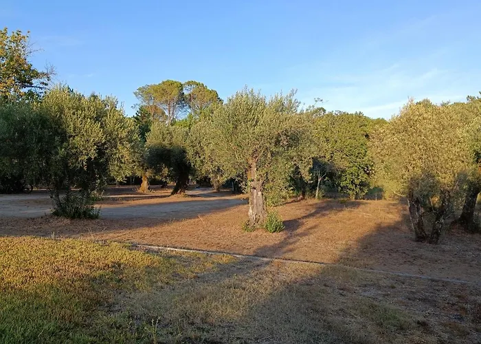 Quinta Da Pedra Mija *