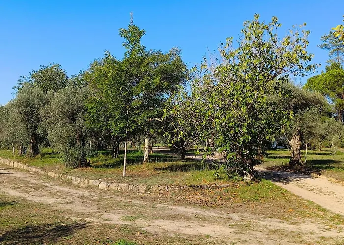 Landsted Quinta Da Pedra Mija Santar